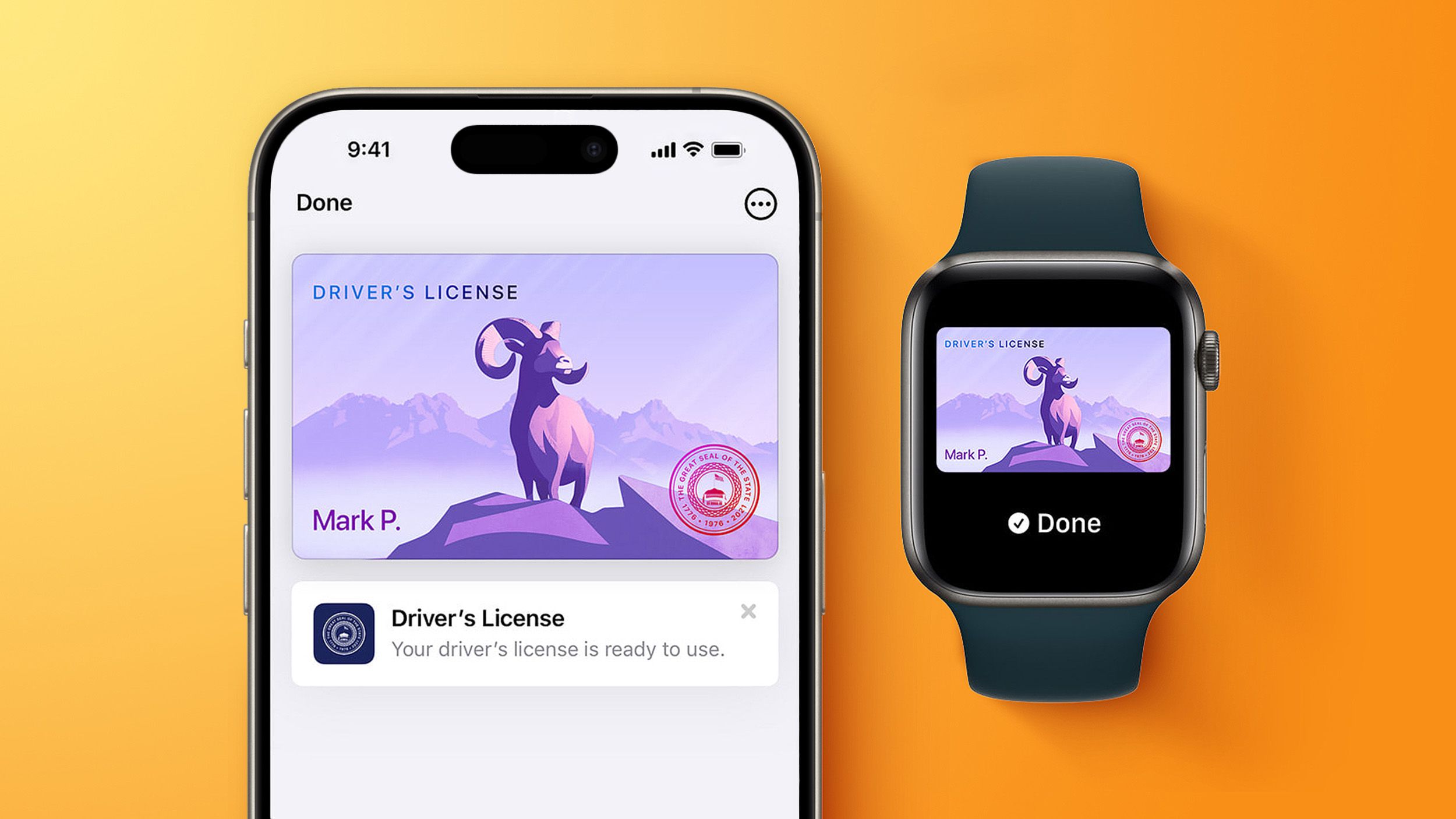 Arkansas adds driver’s licenses to Apple Wallet — what that means for travel, stadiums and privacy