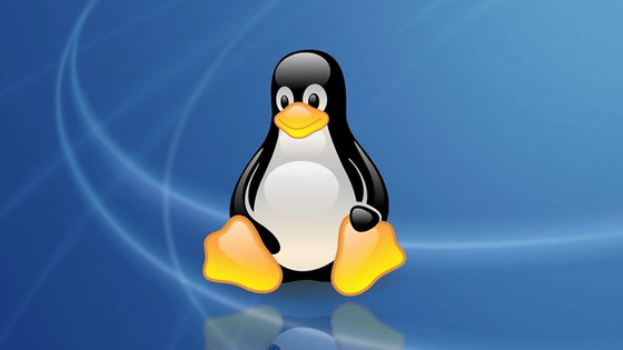 Linux Lets AI Into the Kernel — Humans Keep the Liability